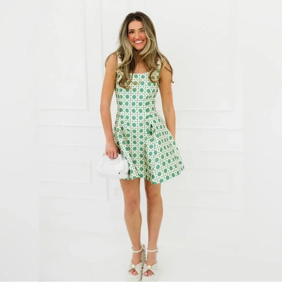 NWT Mestiza Sleeveless Green Patterned Mini Dress - Picture 9 of 12